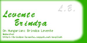 levente brindza business card